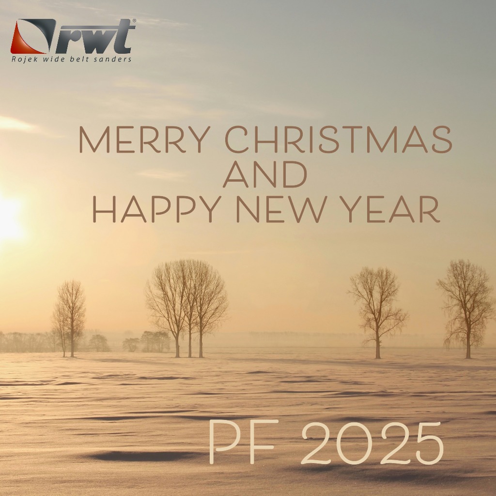 Merry Christmas and Happy New Year 2025